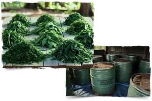 RESPONSABILIDADE AMBIENTAL